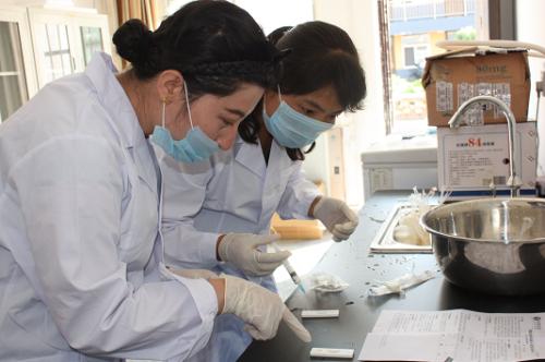 虎扑英超体育直播
器使用方法